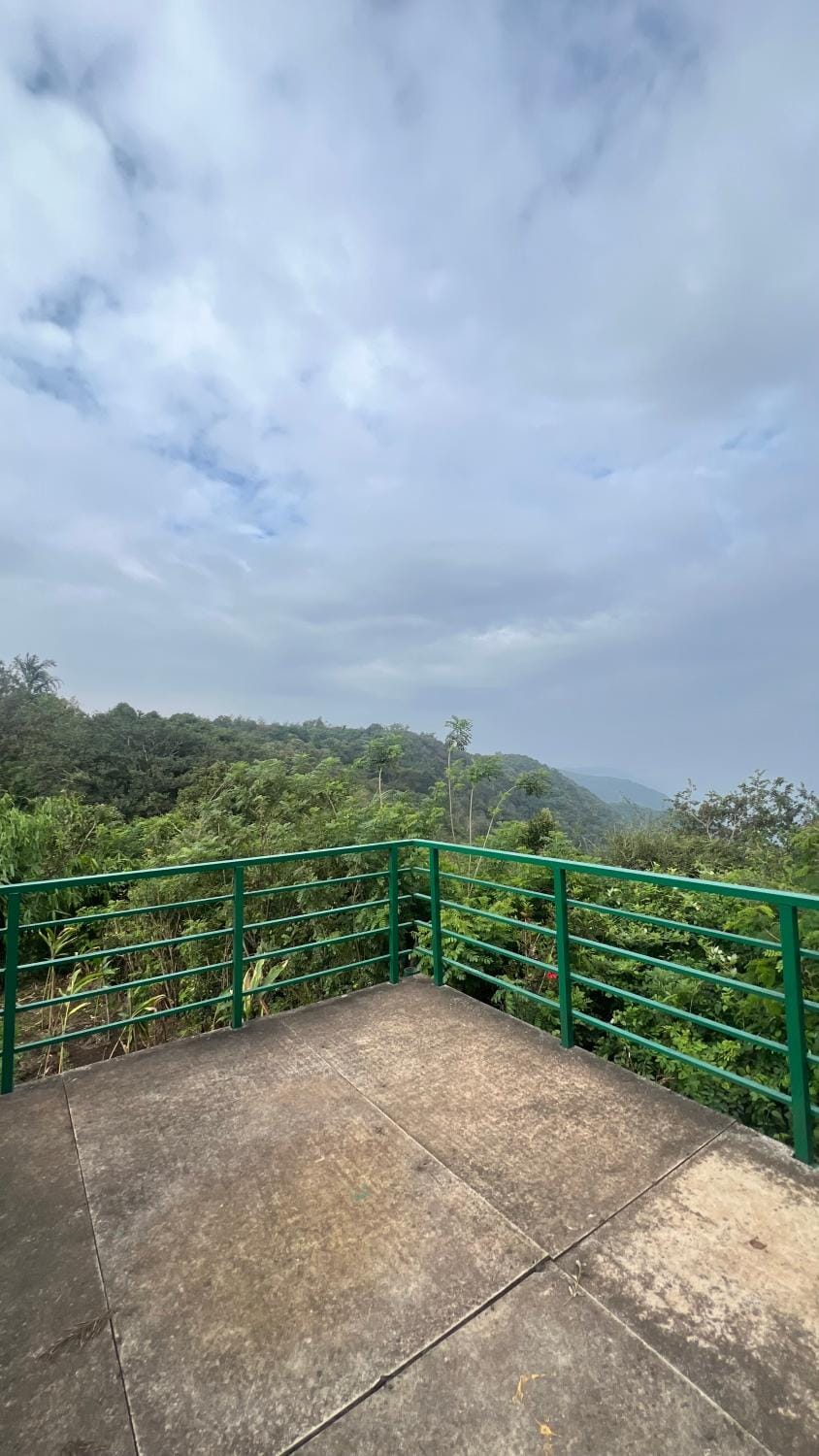 View (from property/room)
