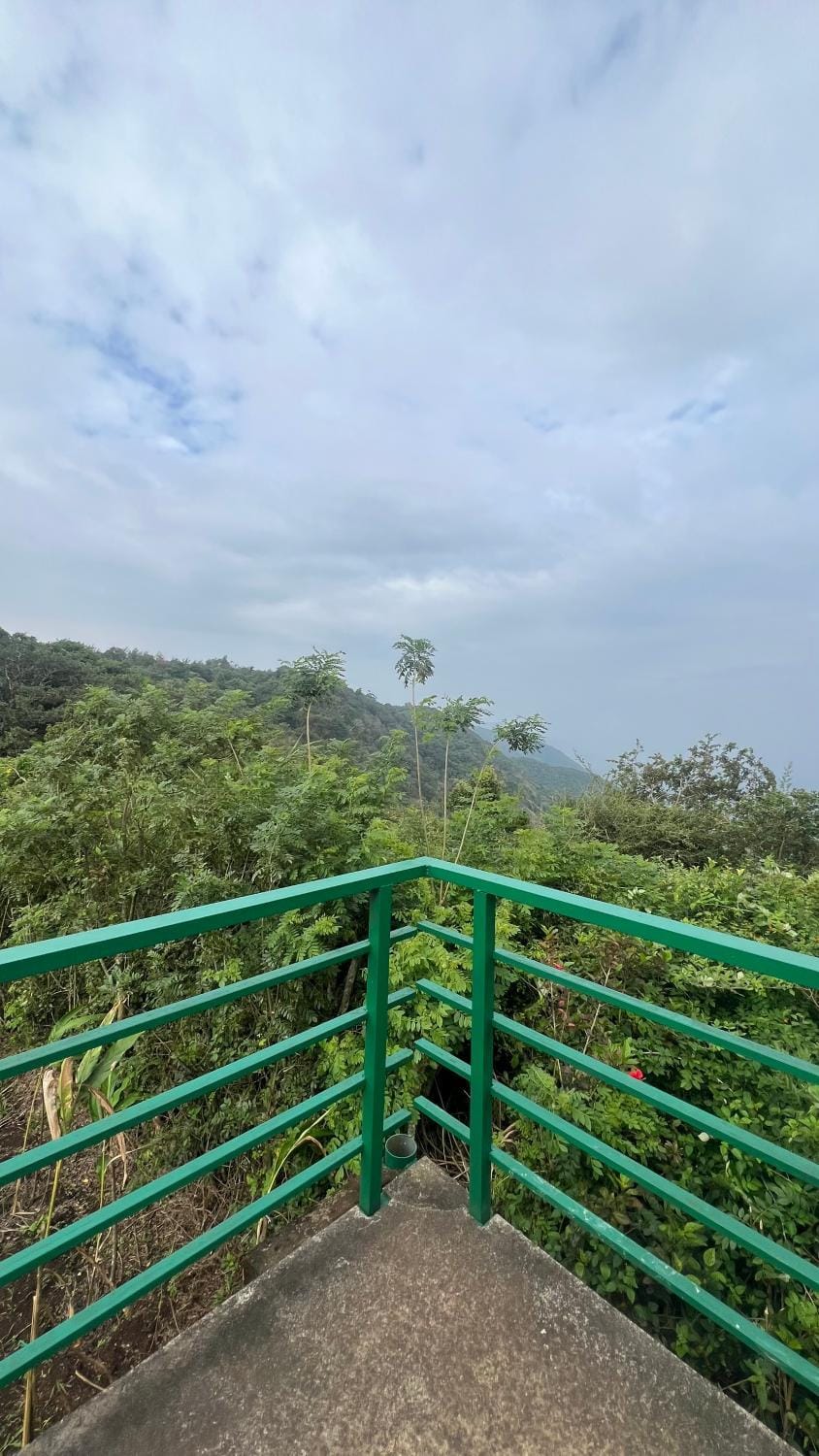 View (from property/room)