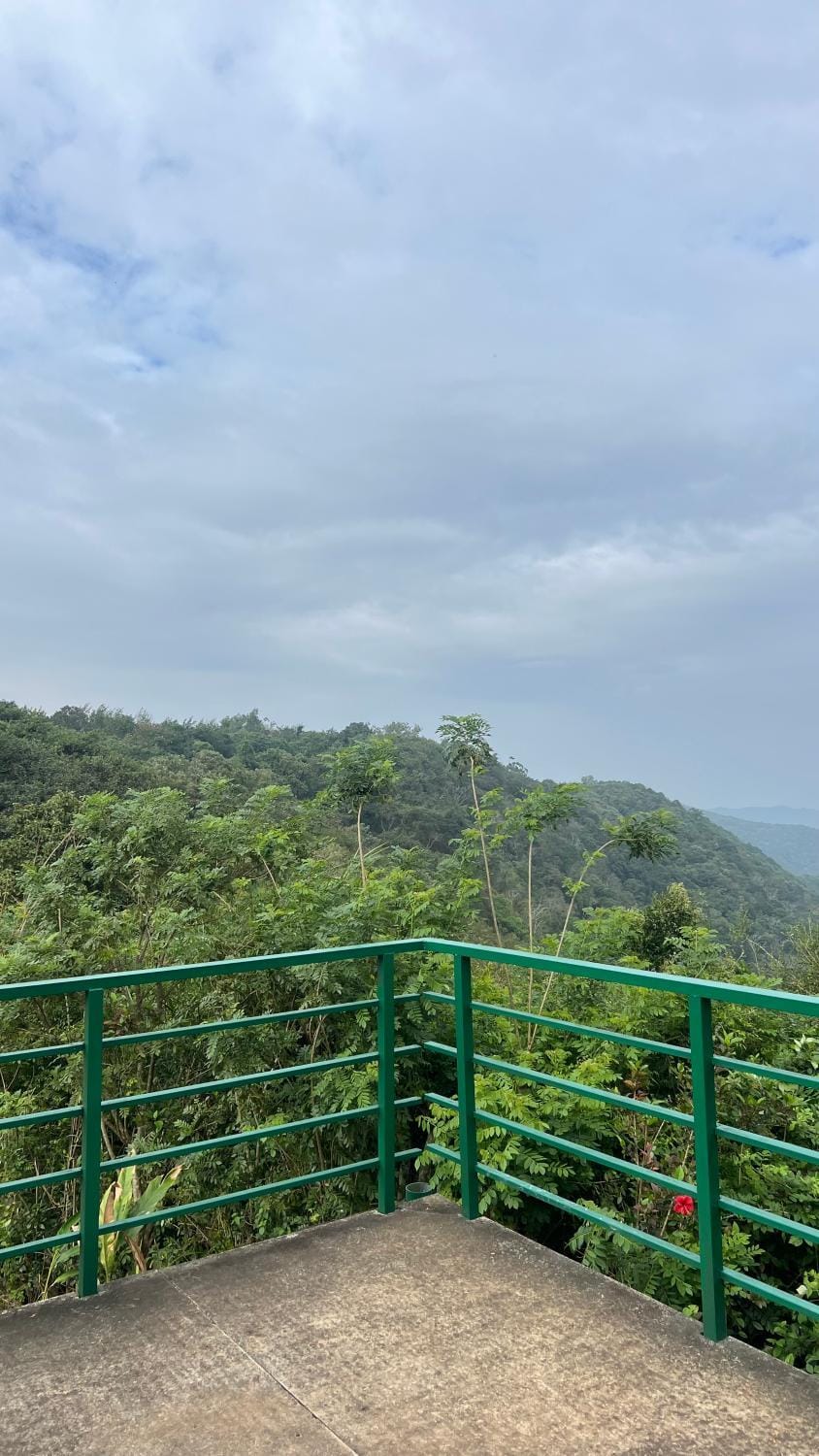 View (from property/room)