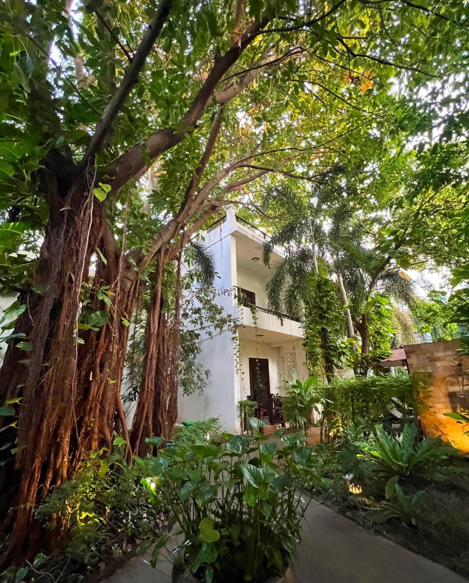 Property building, Day, Garden, Balcony/Terrace, Garden view, Area and facilities