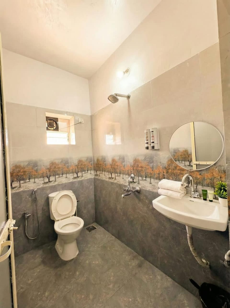 Toilet, Bathroom