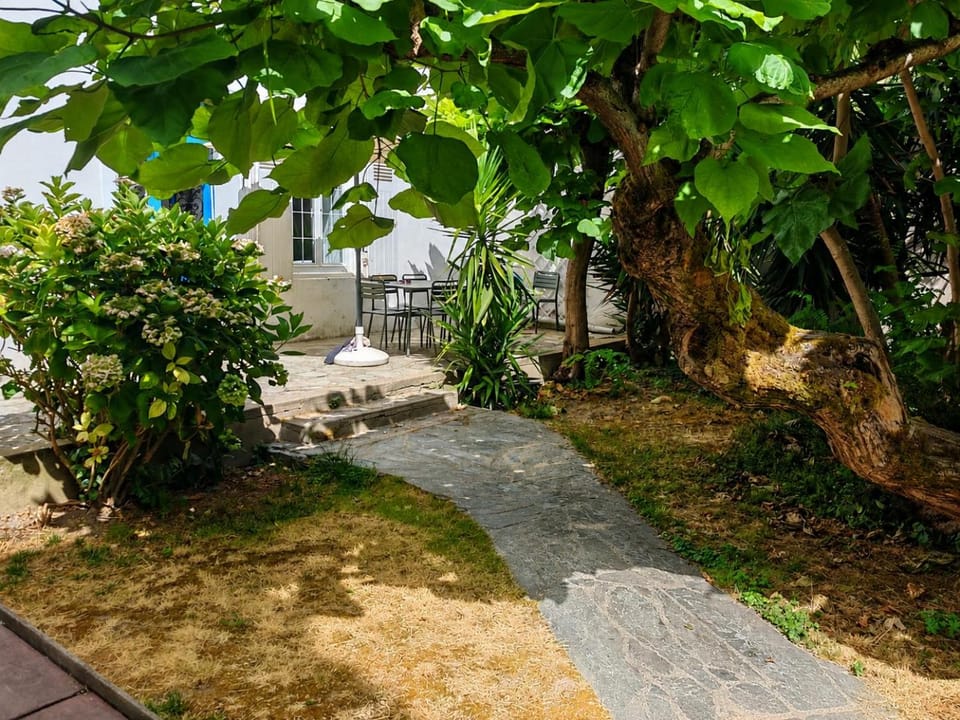 Garden view