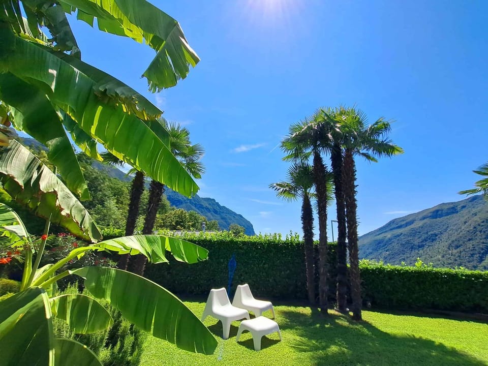 Garden, Garden view, Garden view