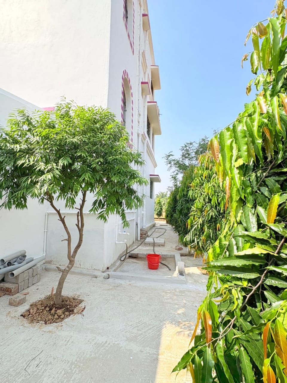 Mithijhora Village Homestay Vacation rental in West Bengal
