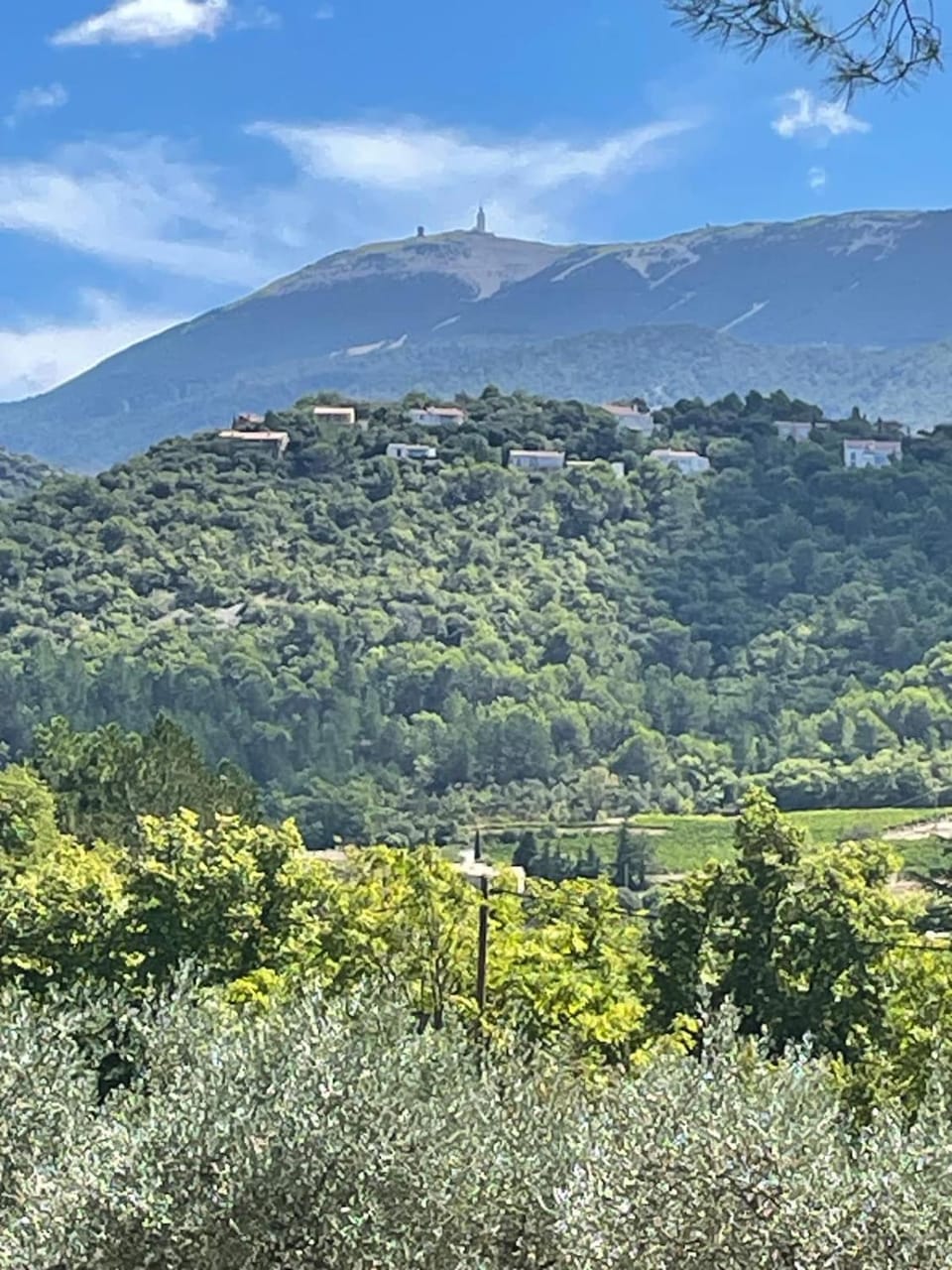 Les Cigales de Mollans Apartment in Provence