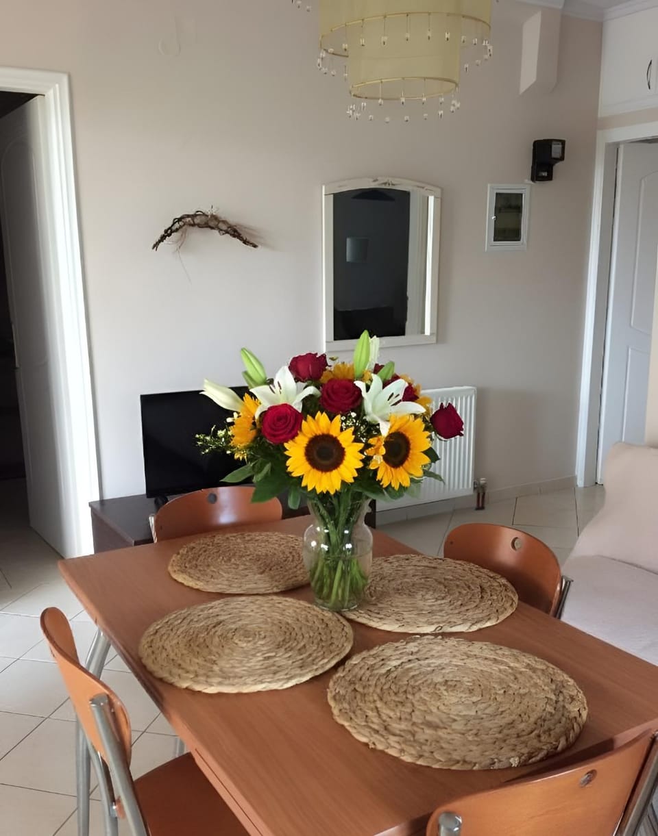 Olive Grove Family Home House in Cephalonia