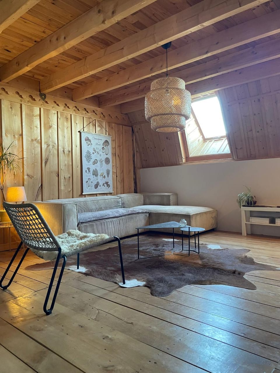 Communal lounge/ TV room