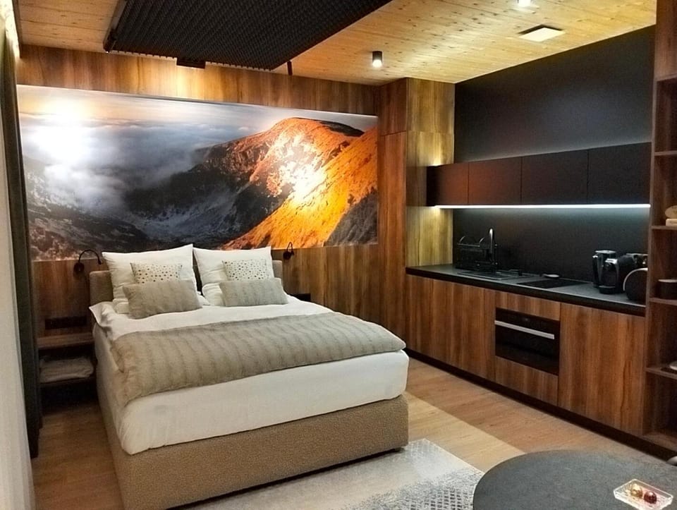 Kitchen or kitchenette, Photo of the whole room, Bedroom