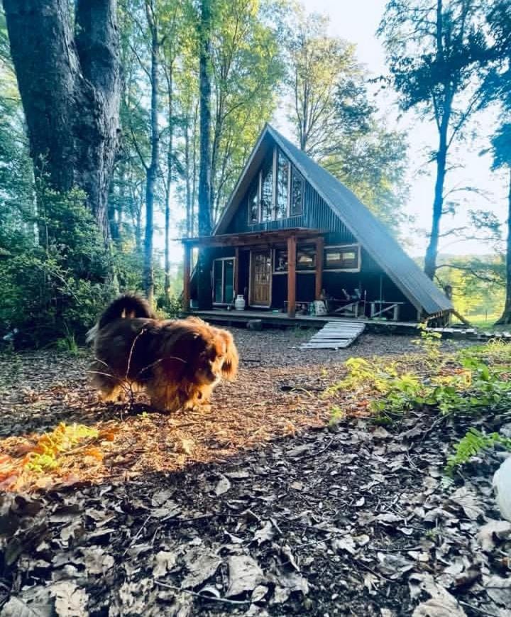 Cabañas bosque sur Chalet in Pucon