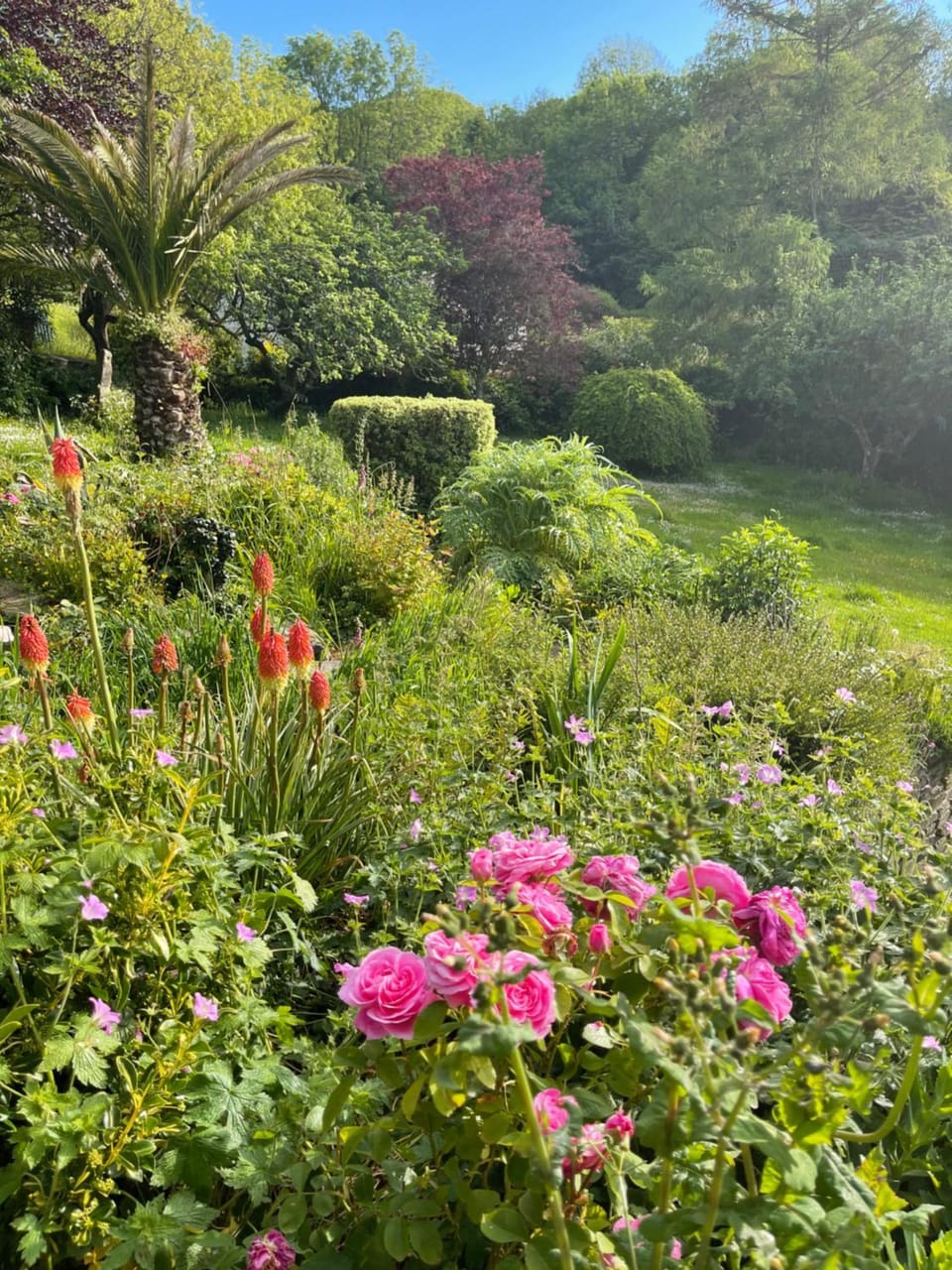Natural landscape, Garden, Garden view