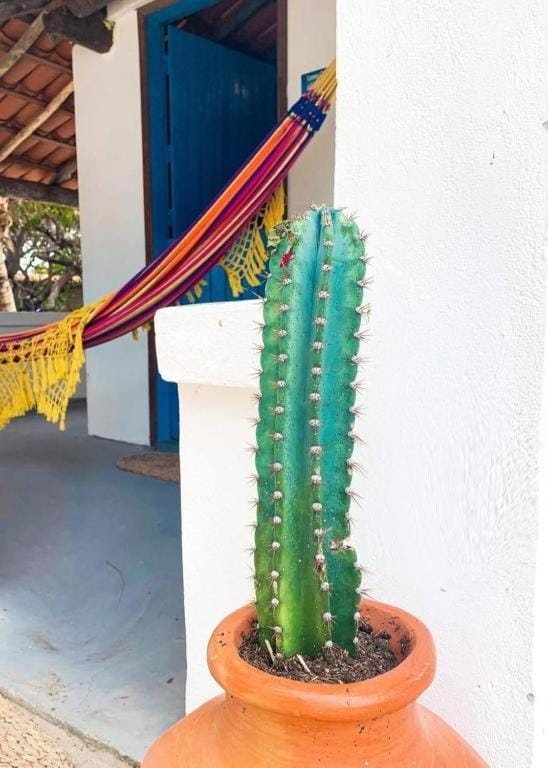 Vila Borogodó- Casa Inn in State of Ceará