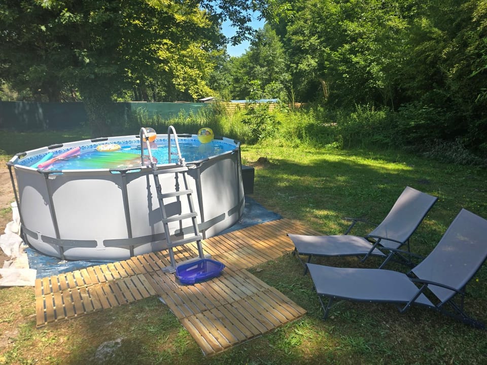 Day, Summer, Garden, Swimming pool