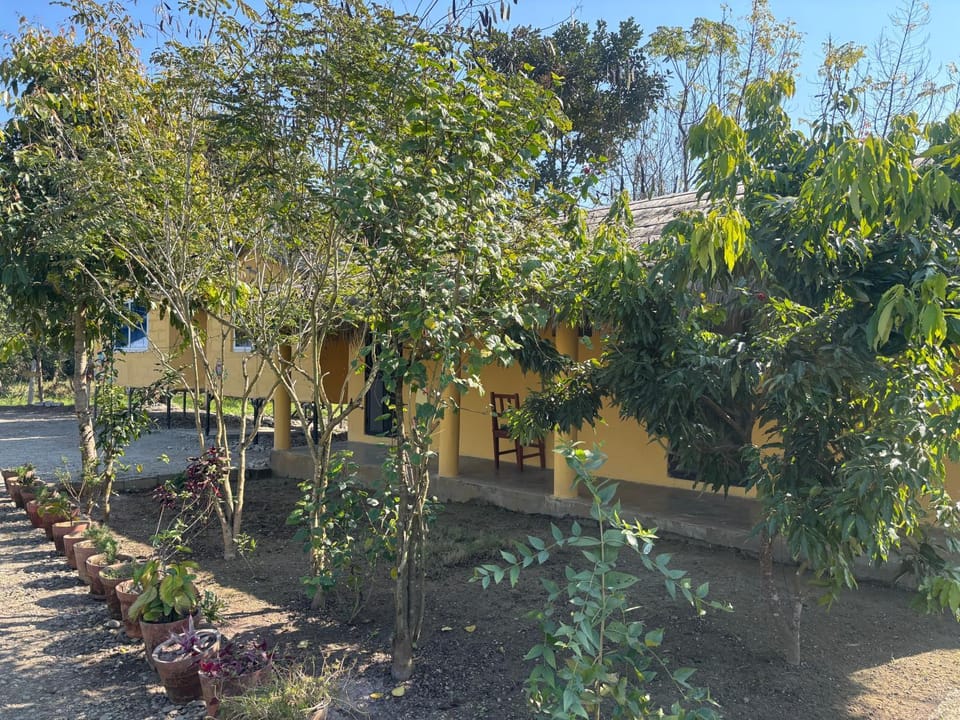 Garden, Garden view