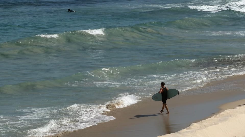 Beach, Windsurfing, VIP