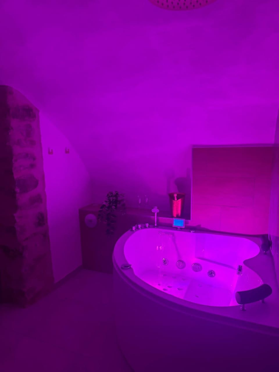 love room - SPA, détente et jeux House in Provence-Alpes-Côte d'Azur