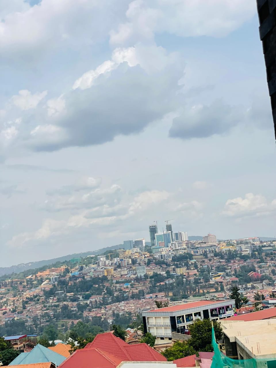 Day, Bird's eye view, City view