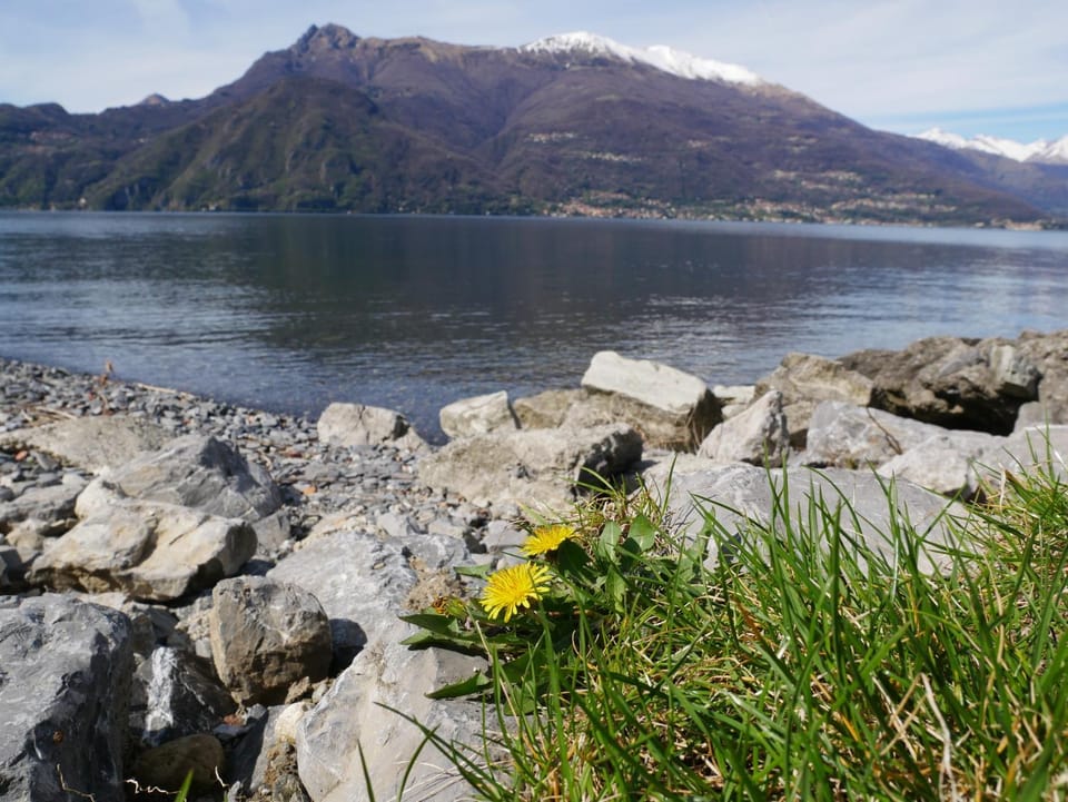 Lake view, Mountain view