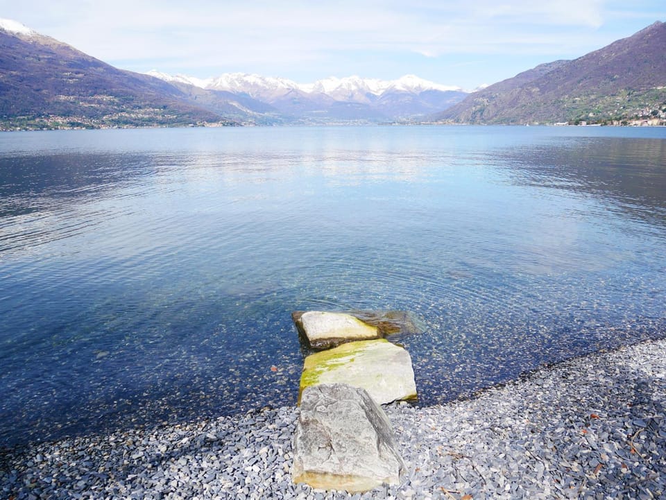 Lake view
