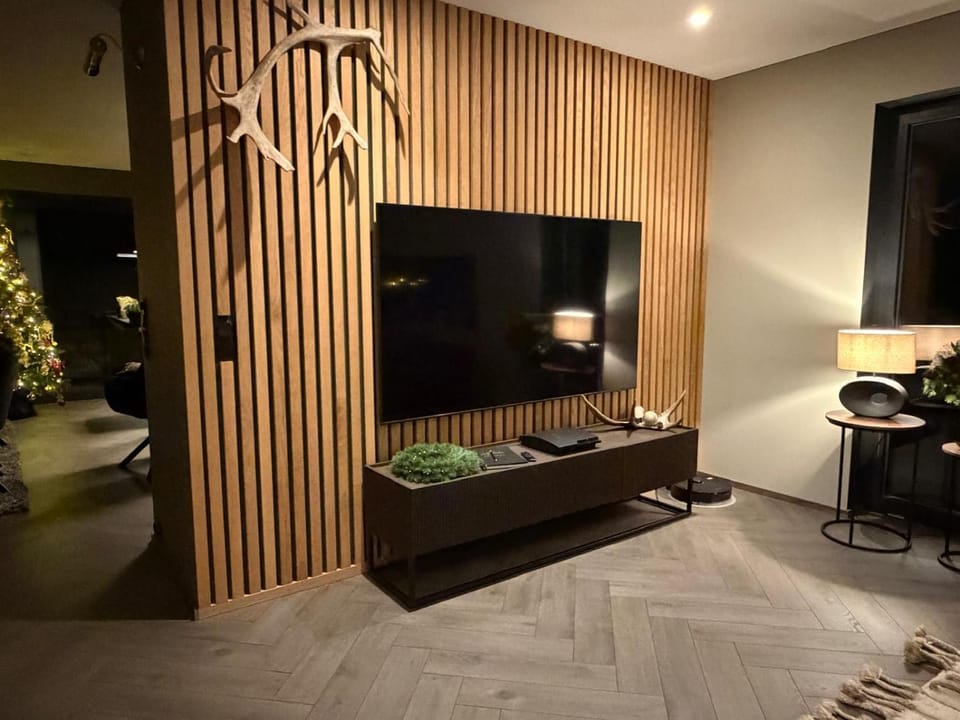TV and multimedia