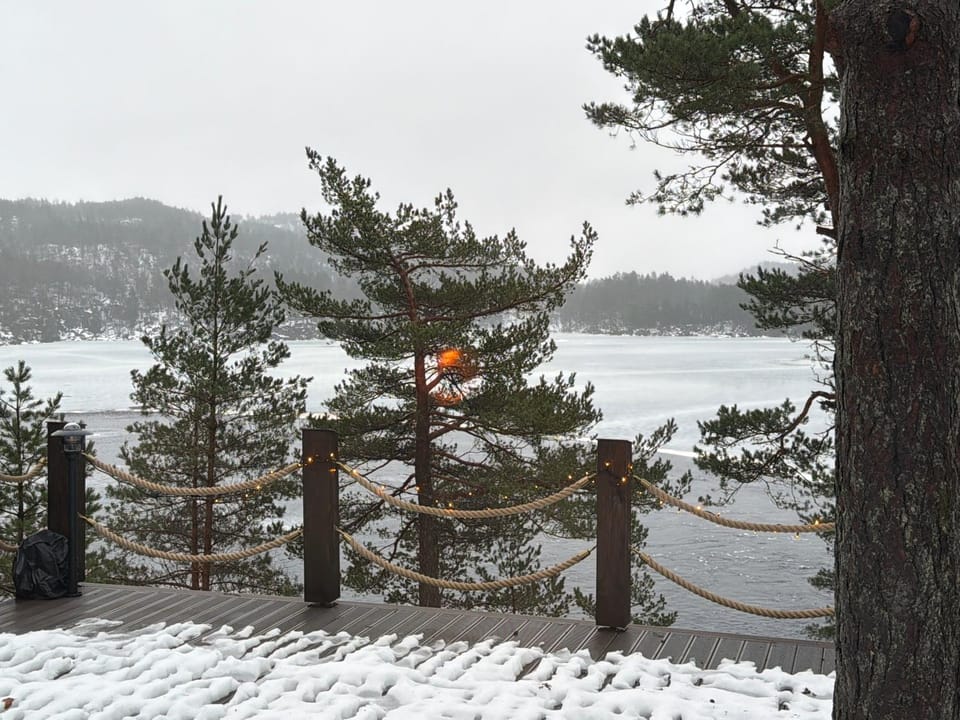 Lake view