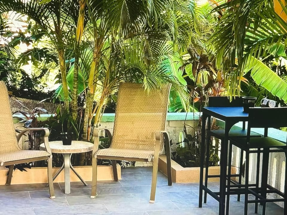 Tropical Oasis in Grenada Apartment in Lance aux Epines