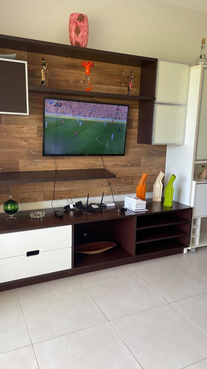 TV and multimedia