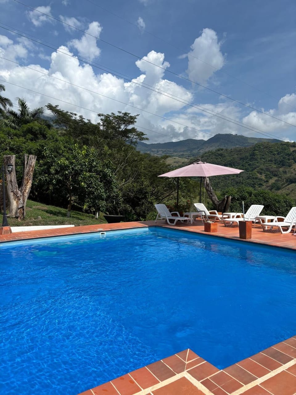 Pool view, Swimming pool