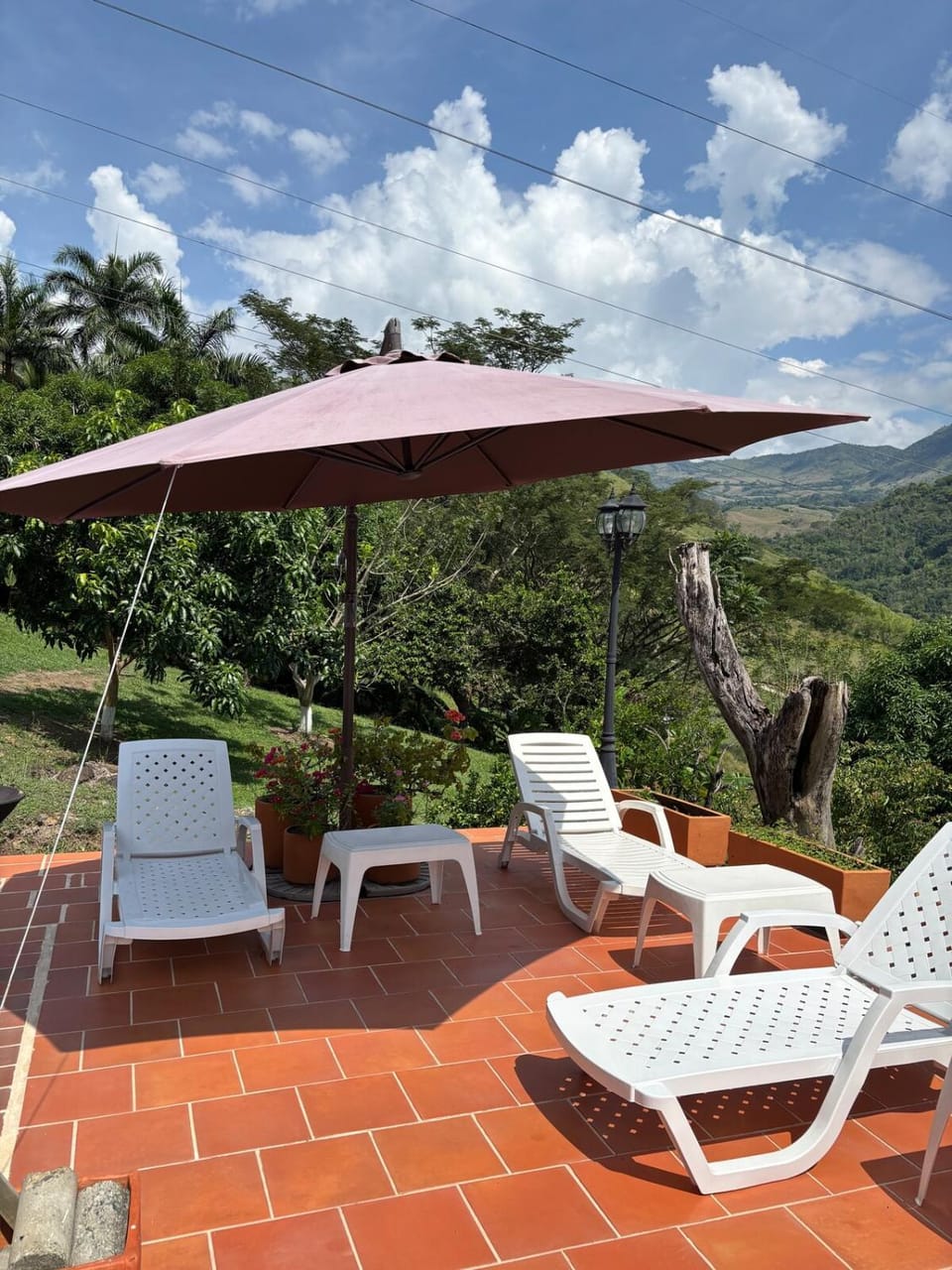 Garden, sunbed