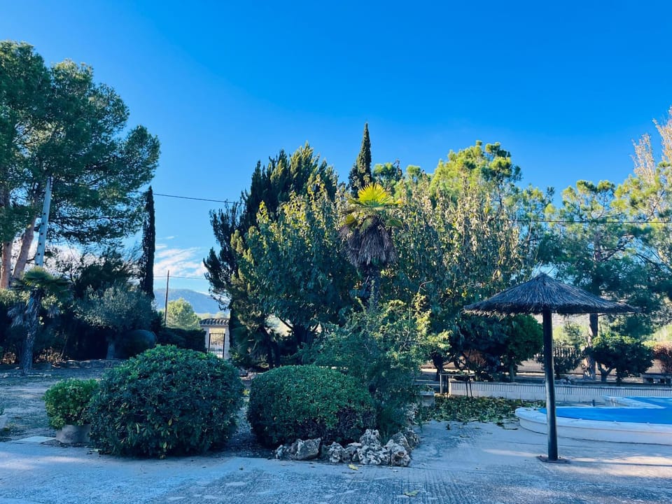 Garden, Garden view