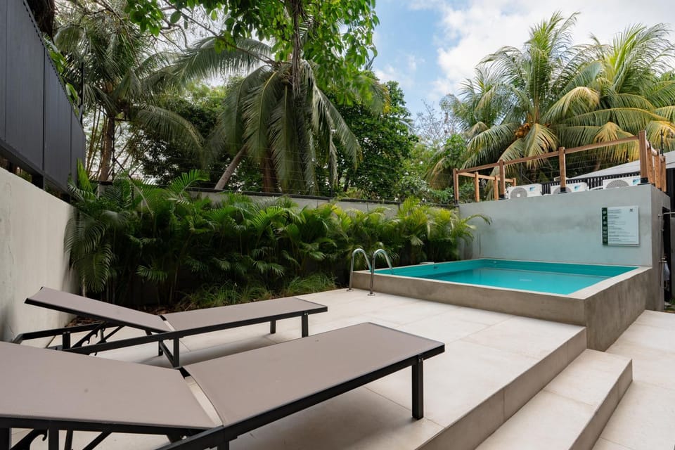 Garden, Garden view, Pool view, Swimming pool, sunbed