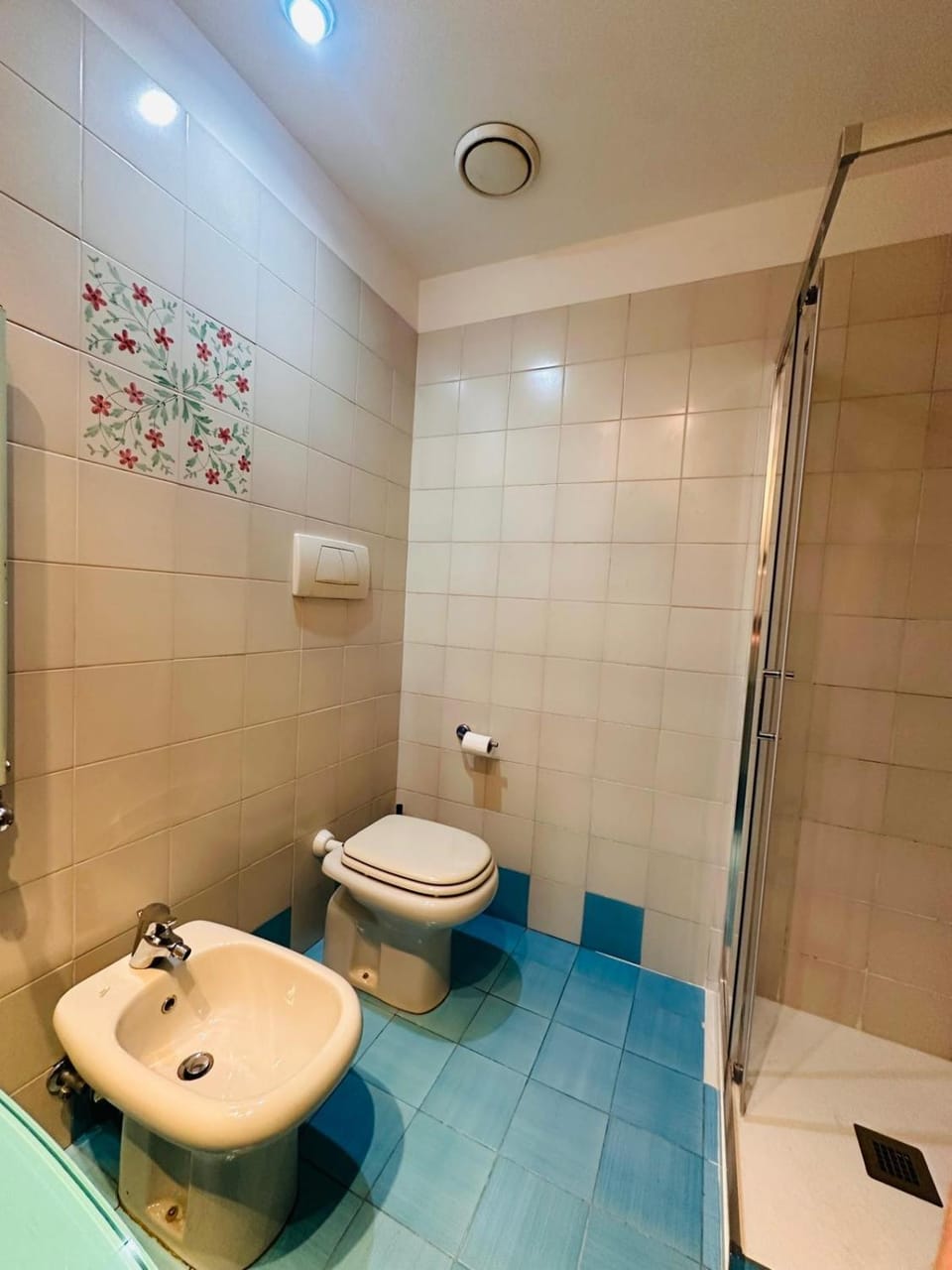 Shower, Toilet, Bathroom, bidet