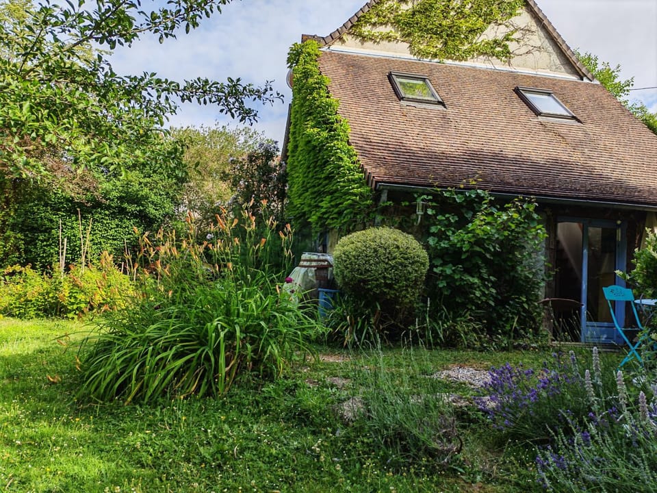 Patio, Natural landscape, Garden, Garden view