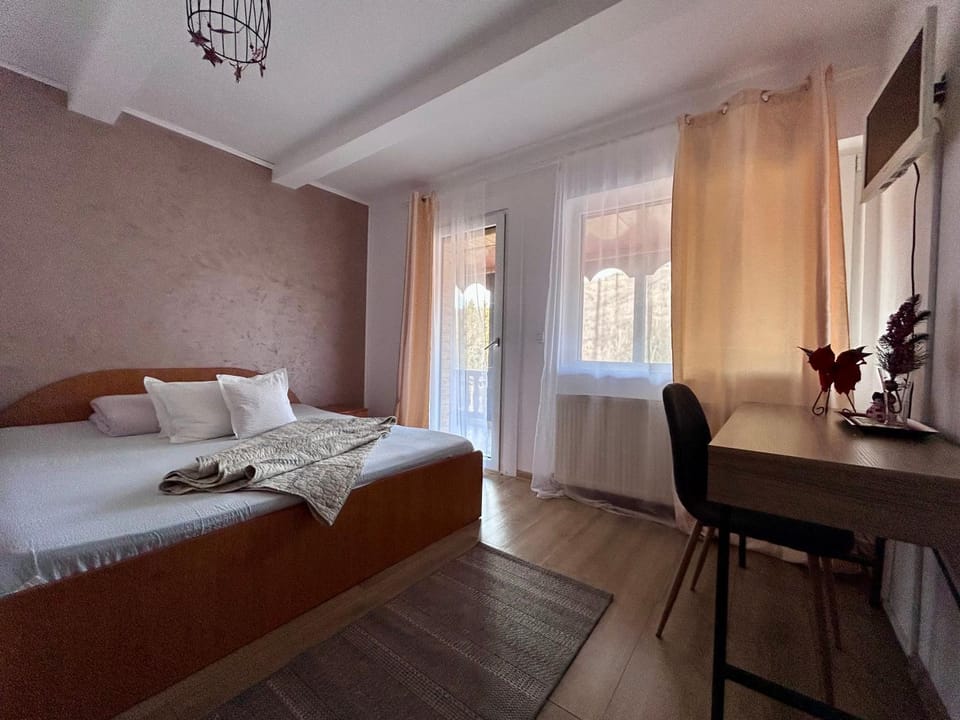 Cabana Florina House in Timiș County