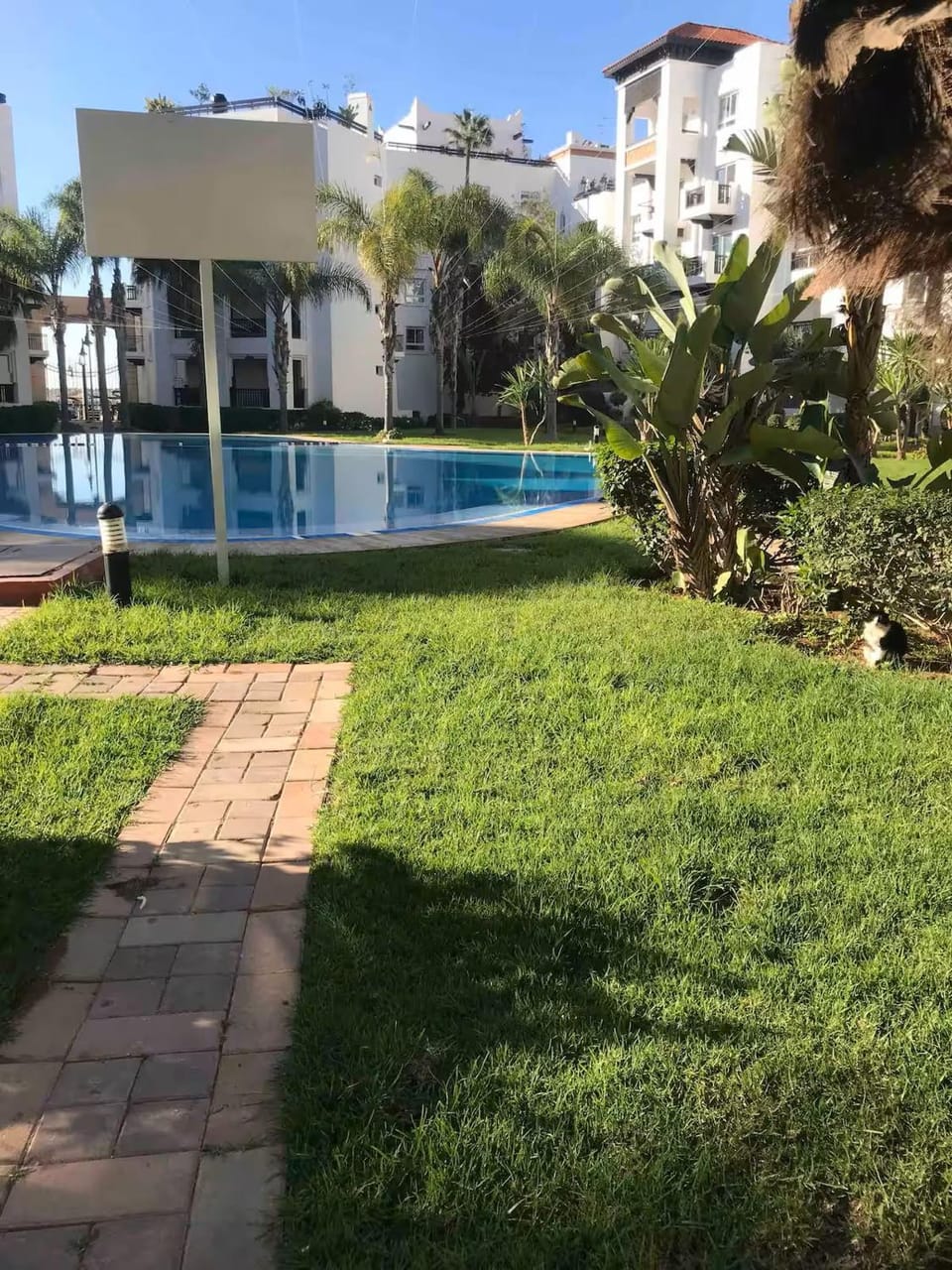 Swimming pool