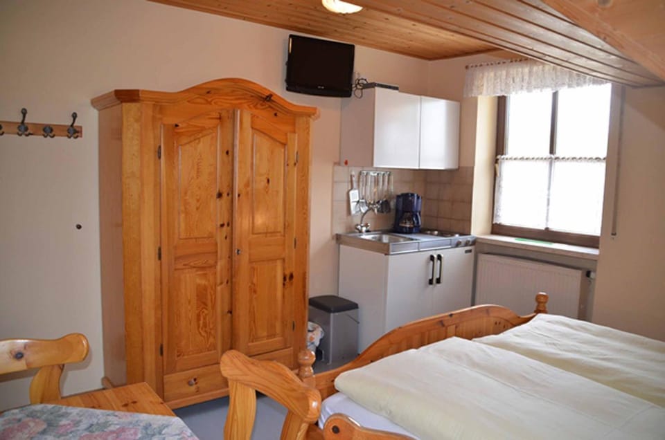 Bed, TV and multimedia, Kitchen or kitchenette, Photo of the whole room, wardrobe