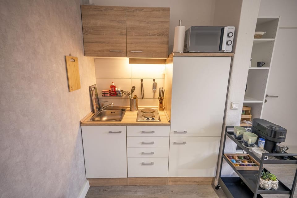 Kitchen or kitchenette, kitchen