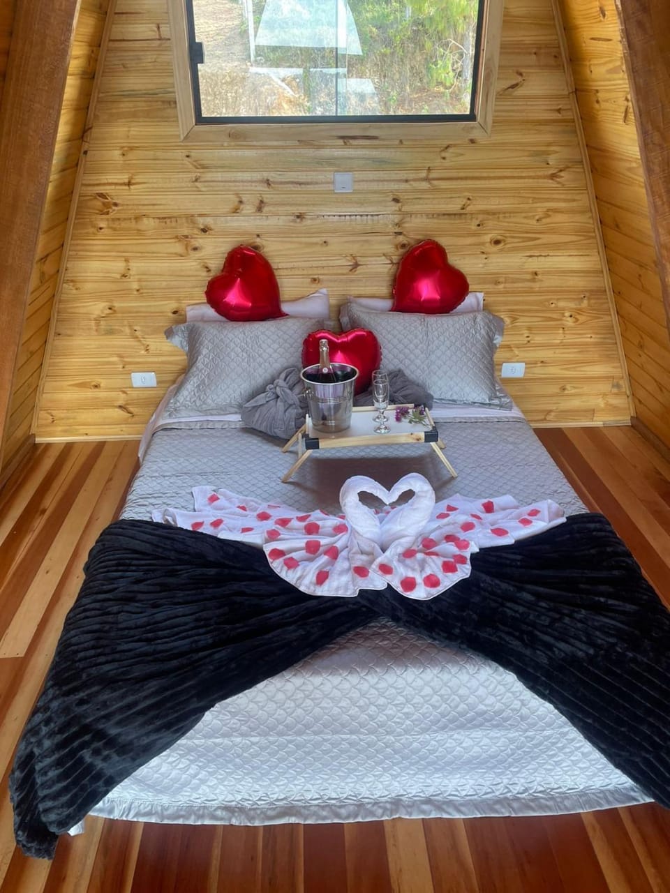 Bed, Photo of the whole room
