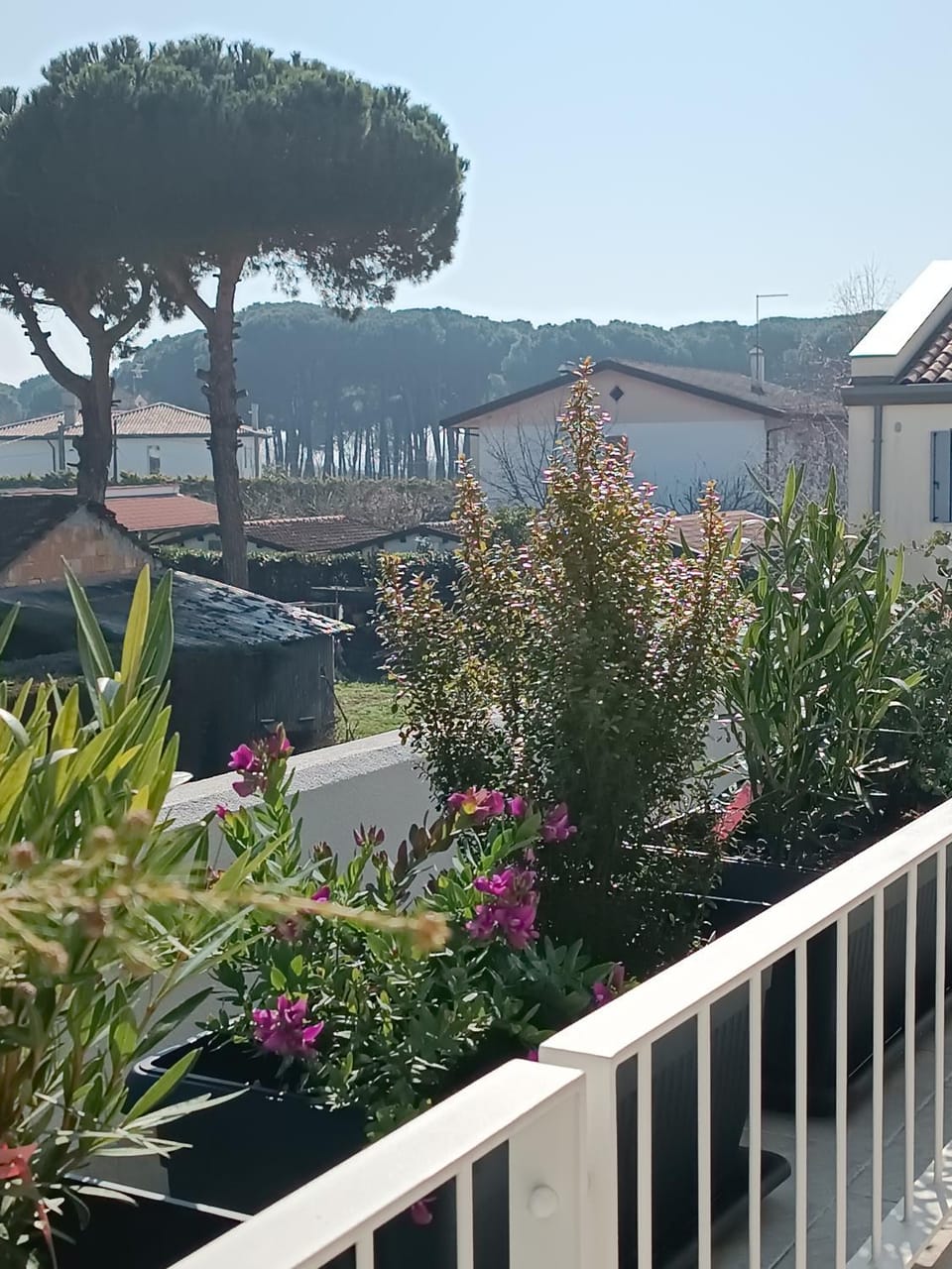 View (from property/room)