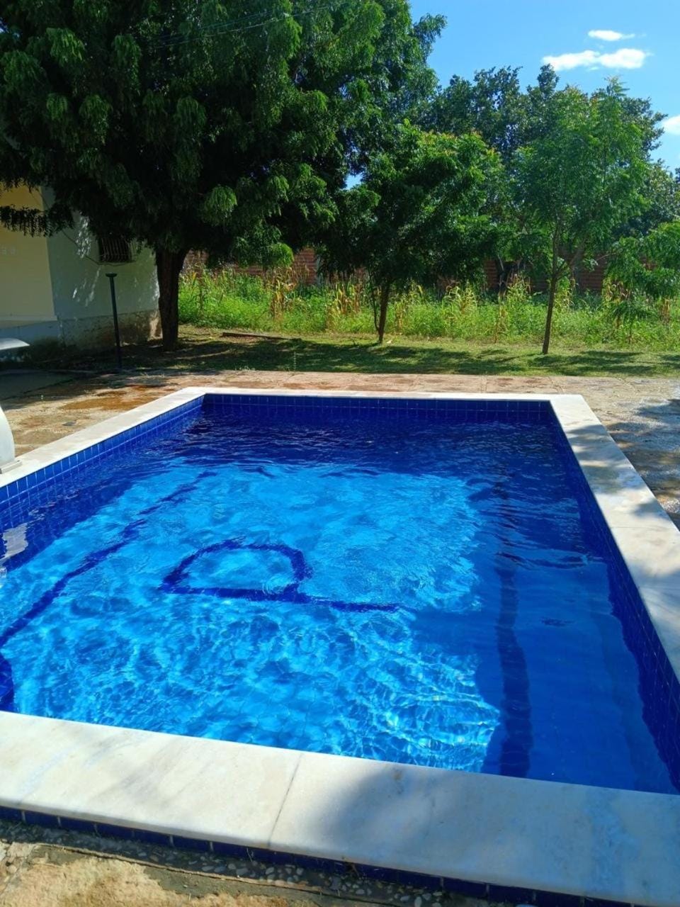 Day, Pool view, Swimming pool
