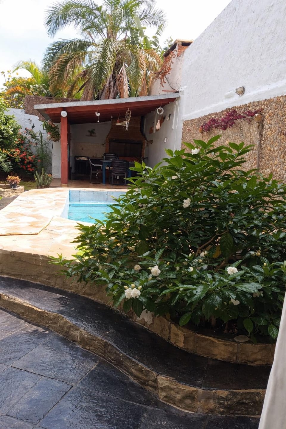 Garden, Garden view, Pool view, Swimming pool