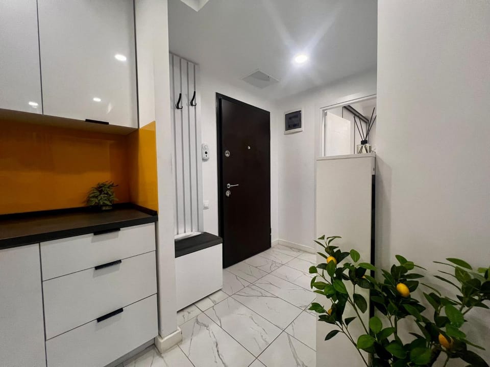 Kitchen or kitchenette, oven, wardrobe
