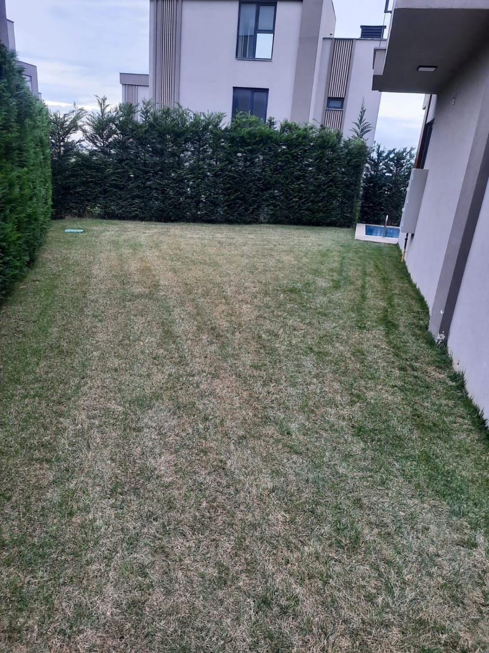 Villa with private pool for daily rent in Istanbul Apartment in İstanbul Province