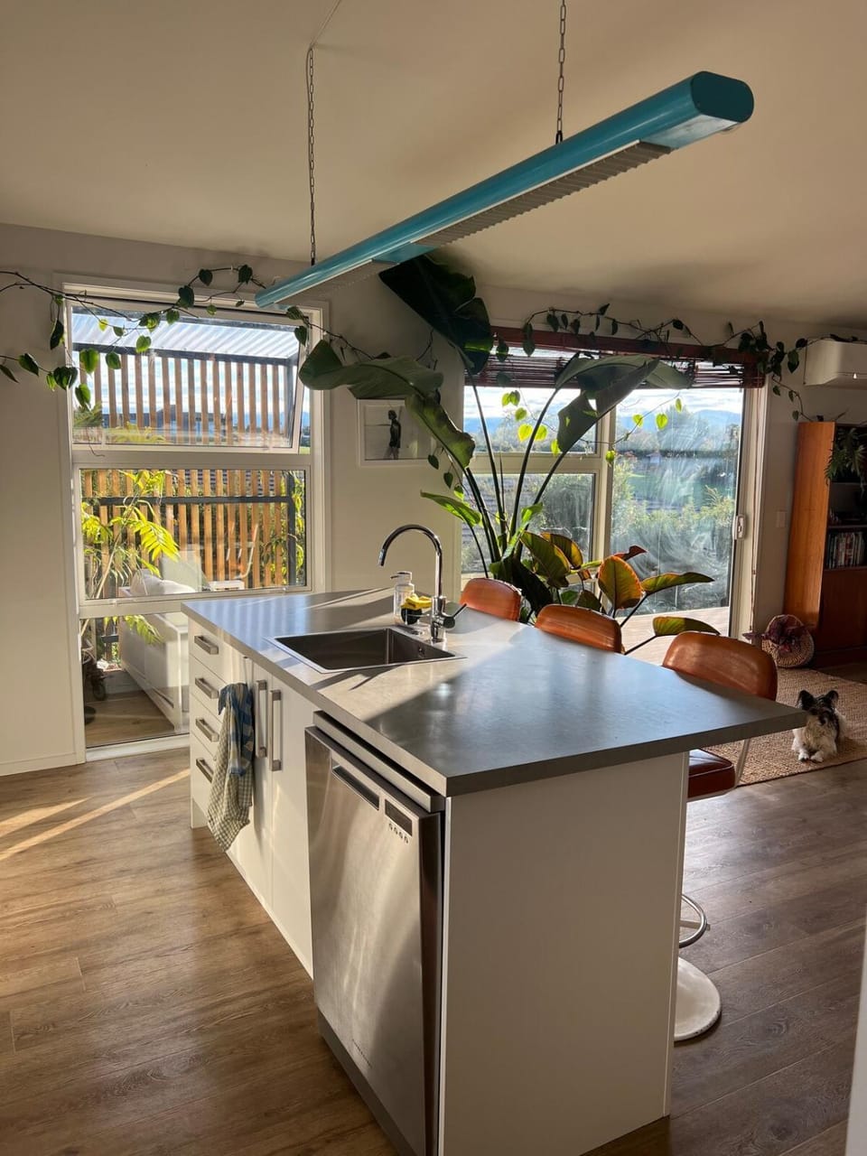 'Jessie St Jungle' House in Tasman District, Tasman, New Zealand