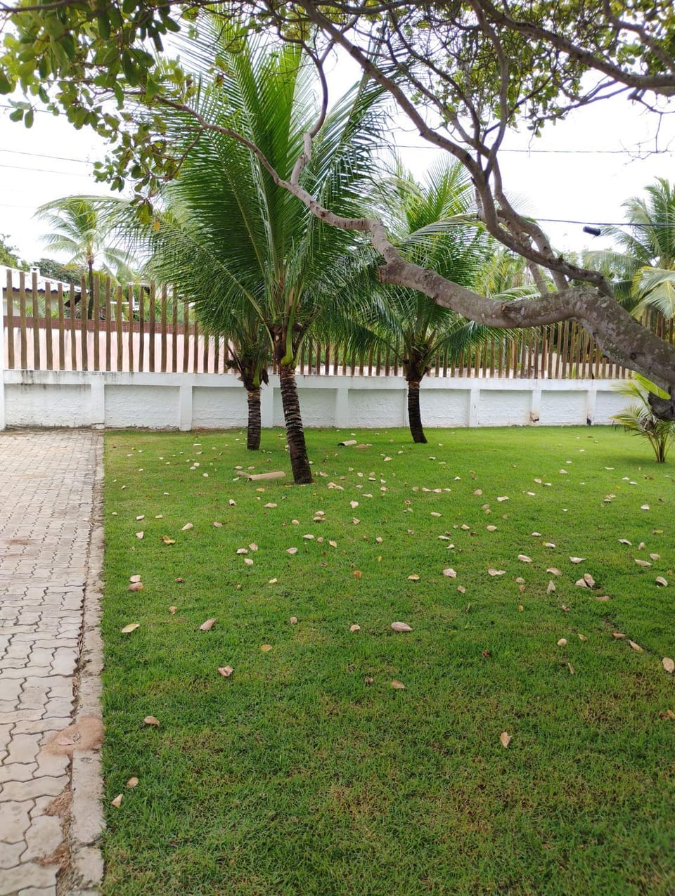Casa de Fazenda na beira da praia de Itacimirim House in State of Bahia