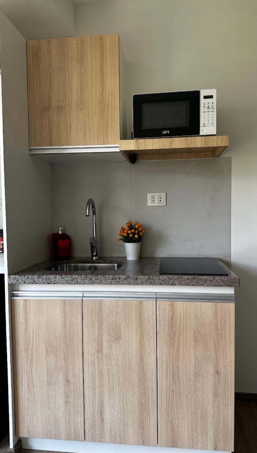 Suite lujoso PCon Garant1a Apartment in Cochabamba