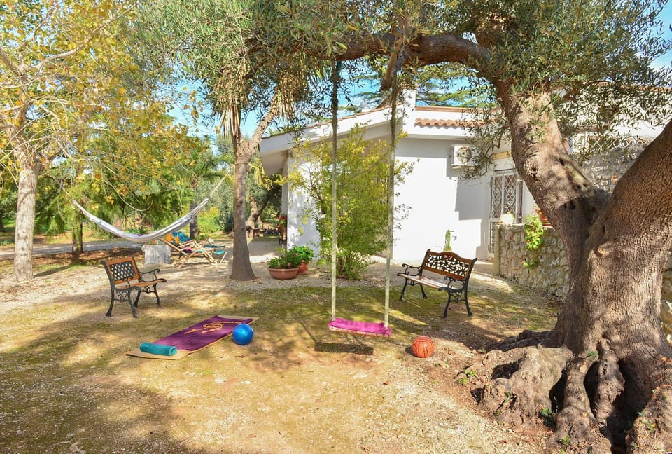 Patio, Facade/entrance, Garden