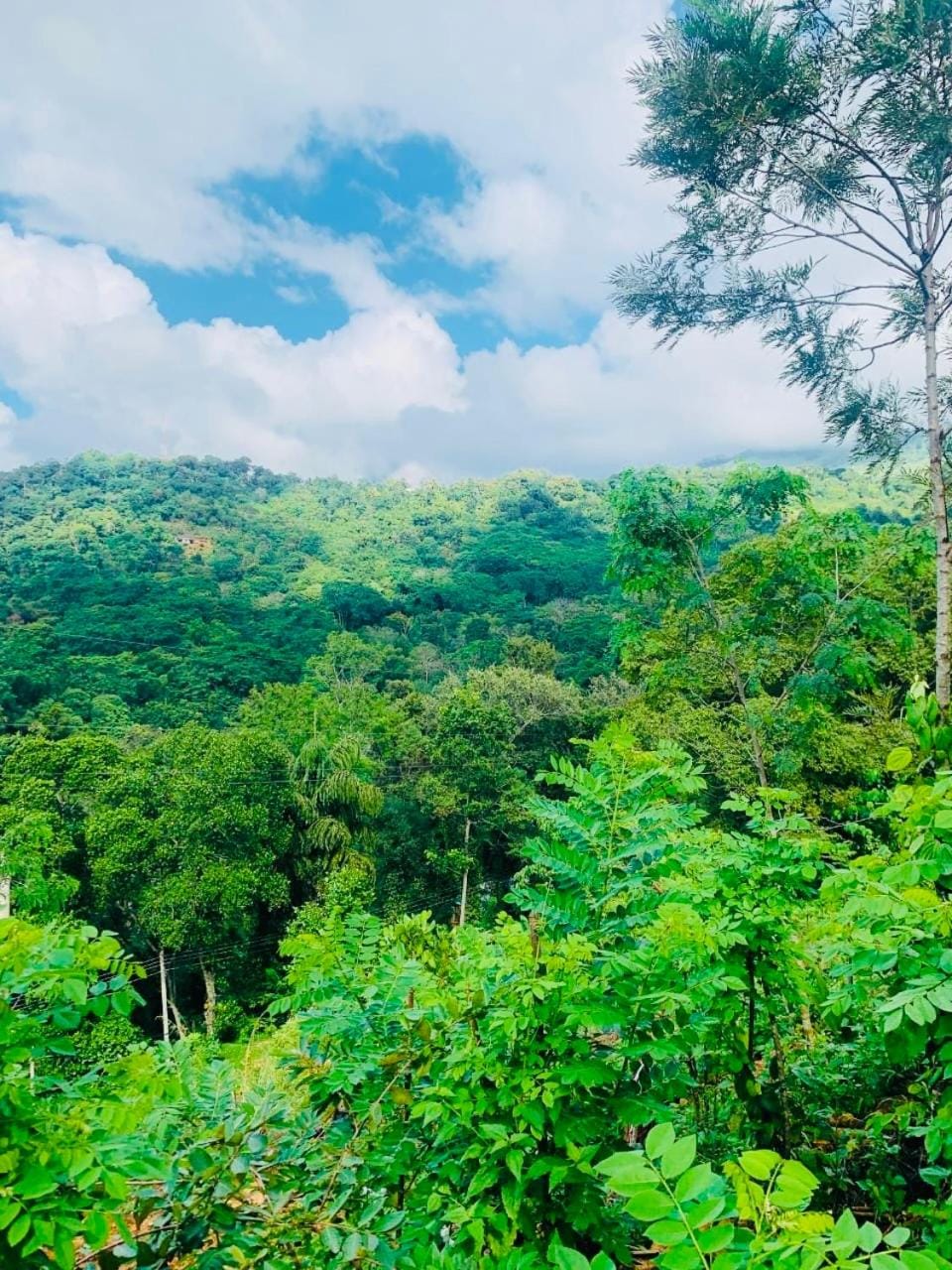 Gold Stream Villa Villa in Uva Province, Sri Lanka