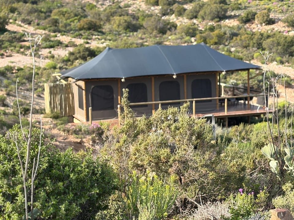 Oudemuur Glamping Luxury tent in Western Cape