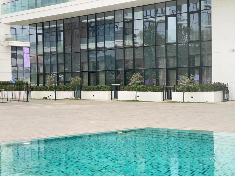 Pool view, Swimming pool