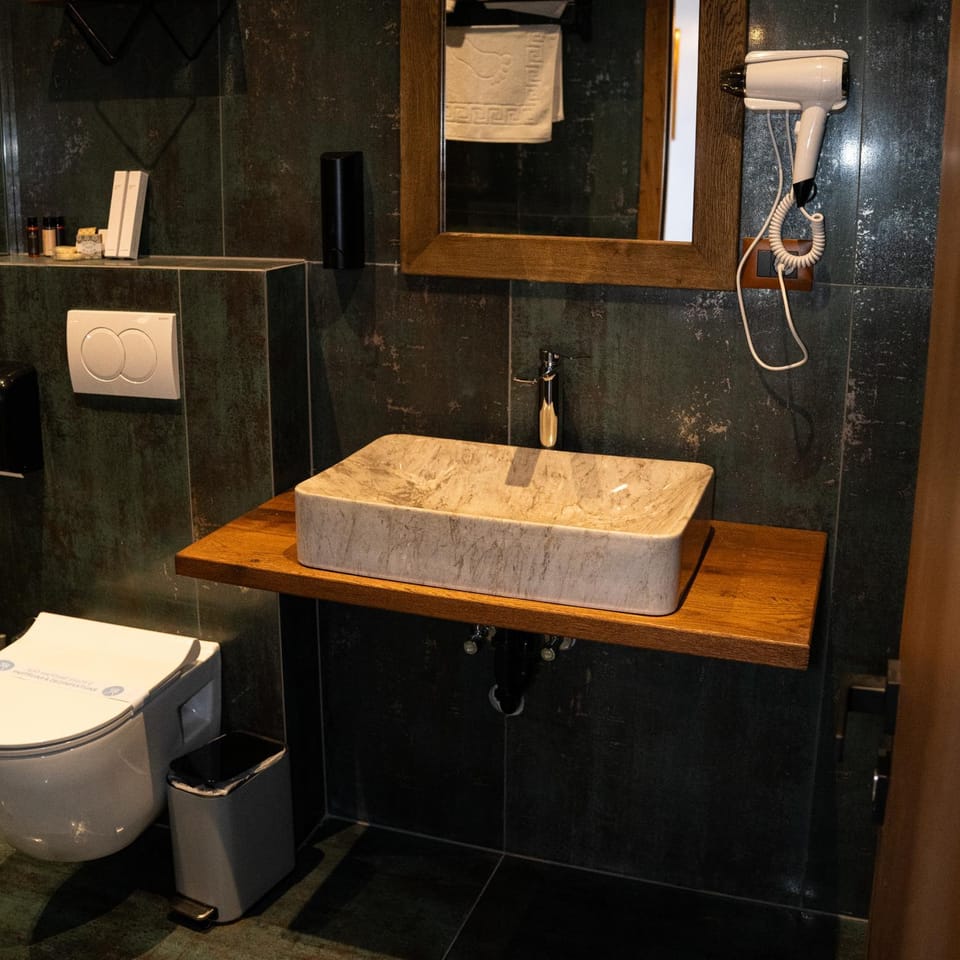 Toilet, hair dryier, towels